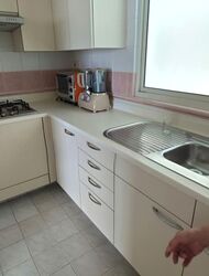 Oleander Towers (D12), Apartment #584476751